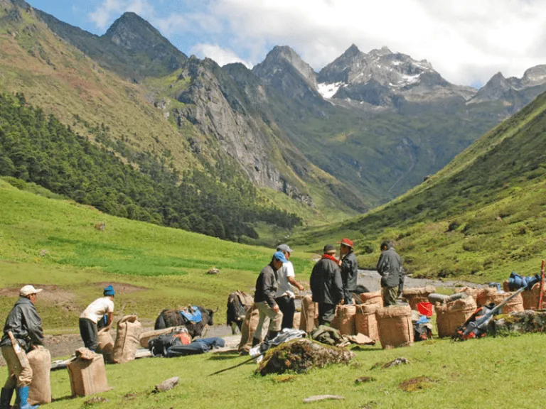Bhutan Trekking Tours
