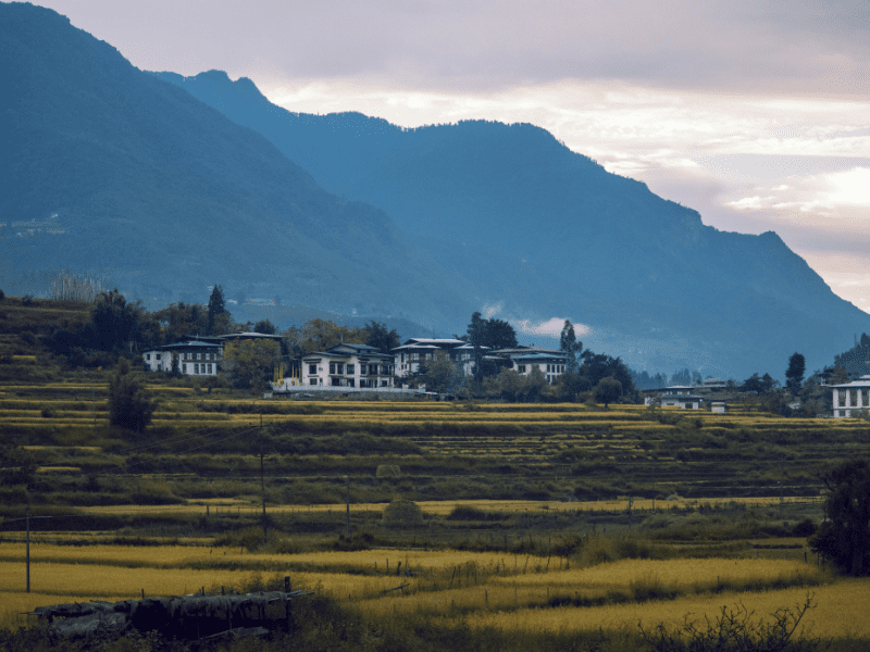 6 Days Bhutan Tour from Bagdogra