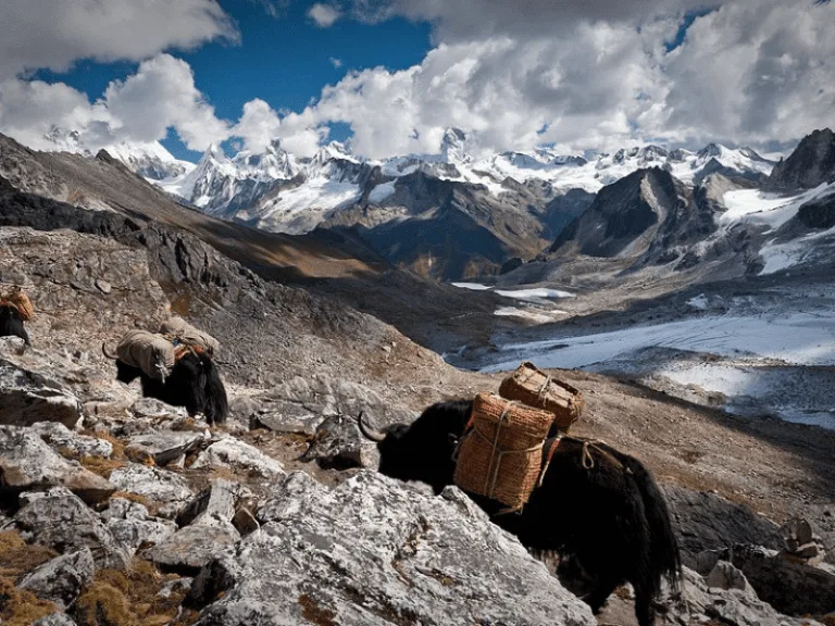 Bhutan Trekking Tours