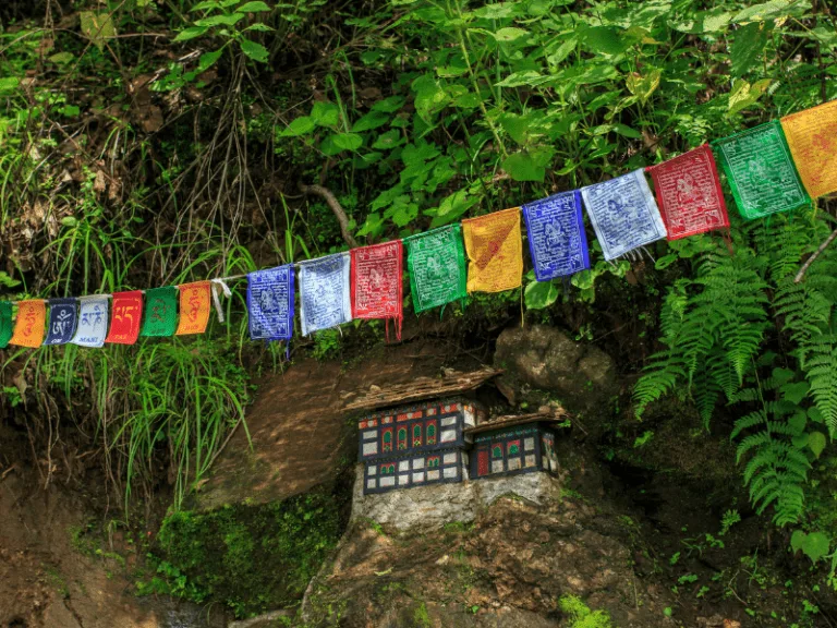 Bhutan Tour packages