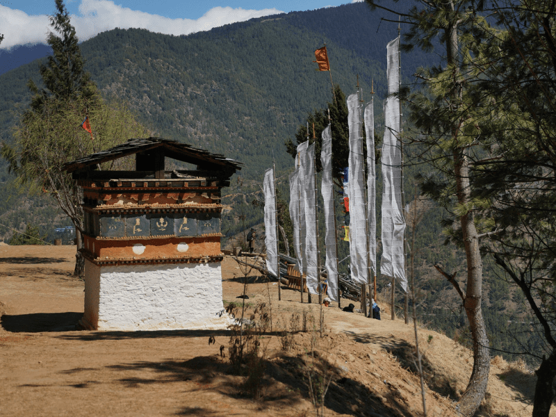 Licensed Tour Operator