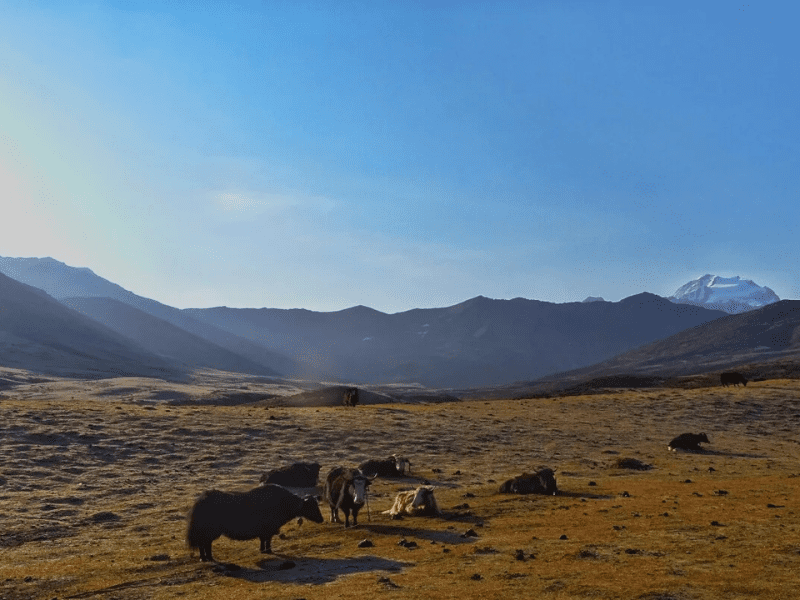 Soi Yaksa Trek