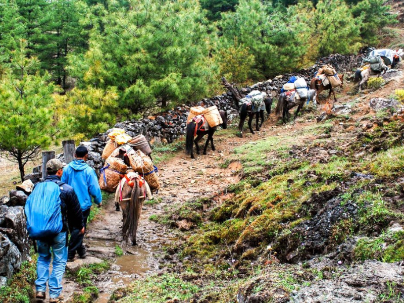 Sagala Trek in Bhutan