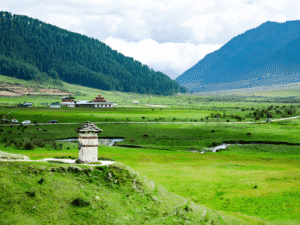 Phobjikha Valley