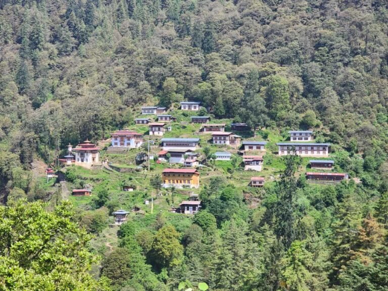 Bhutanese village on a forested hillside