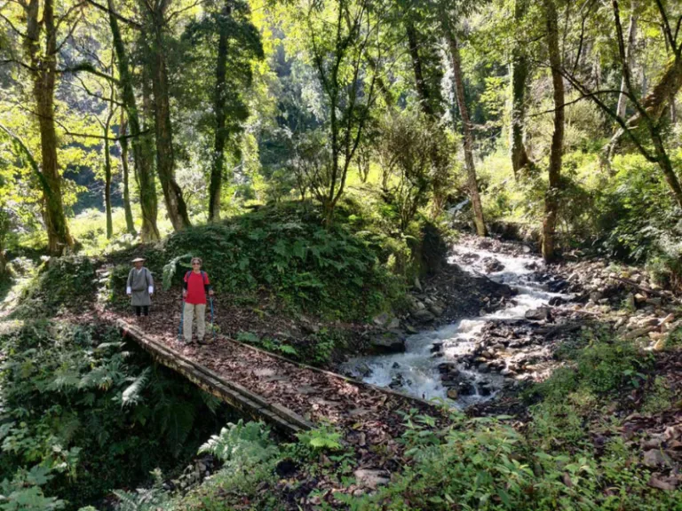 Bhutan Trekking Tours